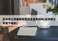 区块链公司最新投资消息是真的吗[区块链公司是干嘛的]